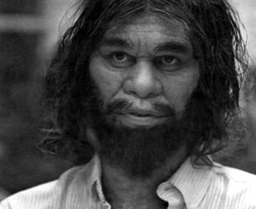 Cavemen2.jpg Cavemen2.jpg