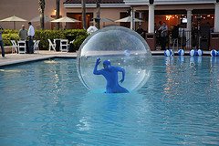 VinSolutions-Bash.jpg VinSolutions-Bash.jpg