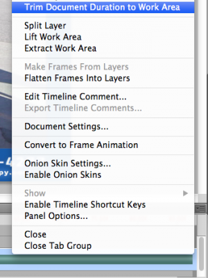 Trim-Document-Duration.png