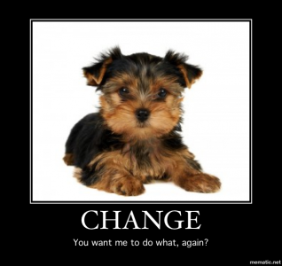 Dog-meme.png Dog-meme.png