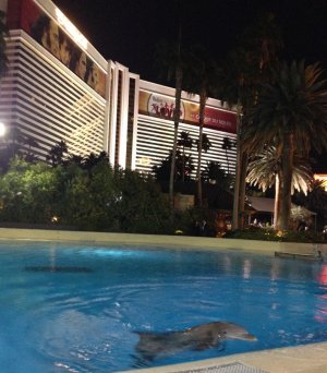 the-mirage-casino.jpg the-mirage-casino.jpg