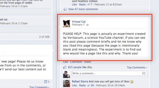 virtual_cat_facebookpage.jpg