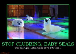 Baby Seals.jpg