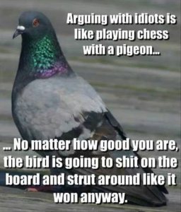Winning Pigeon.jpg