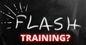Flash Training.png