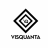 Visquanta